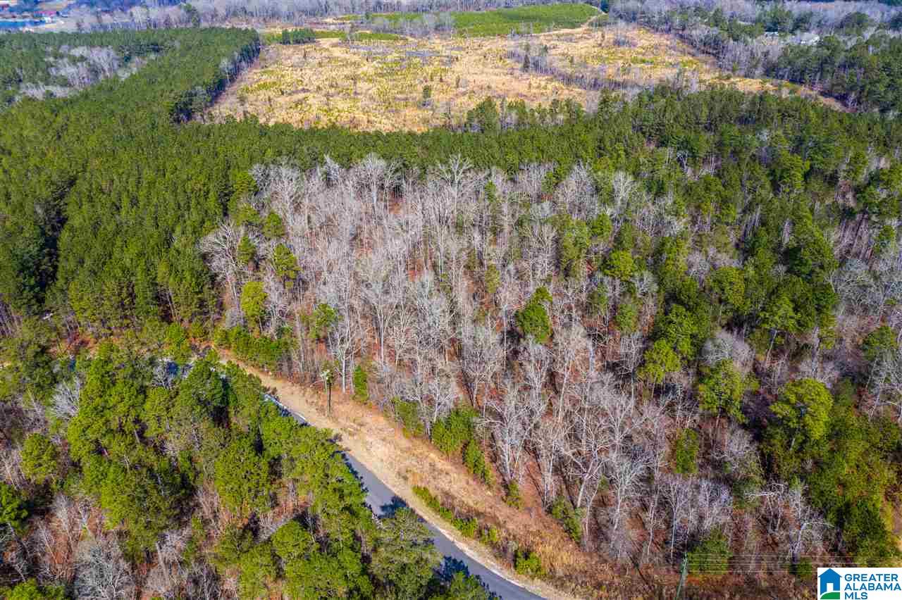 Shore Side Lane Sylacauga, AL 35151 - Photo 9 of 15