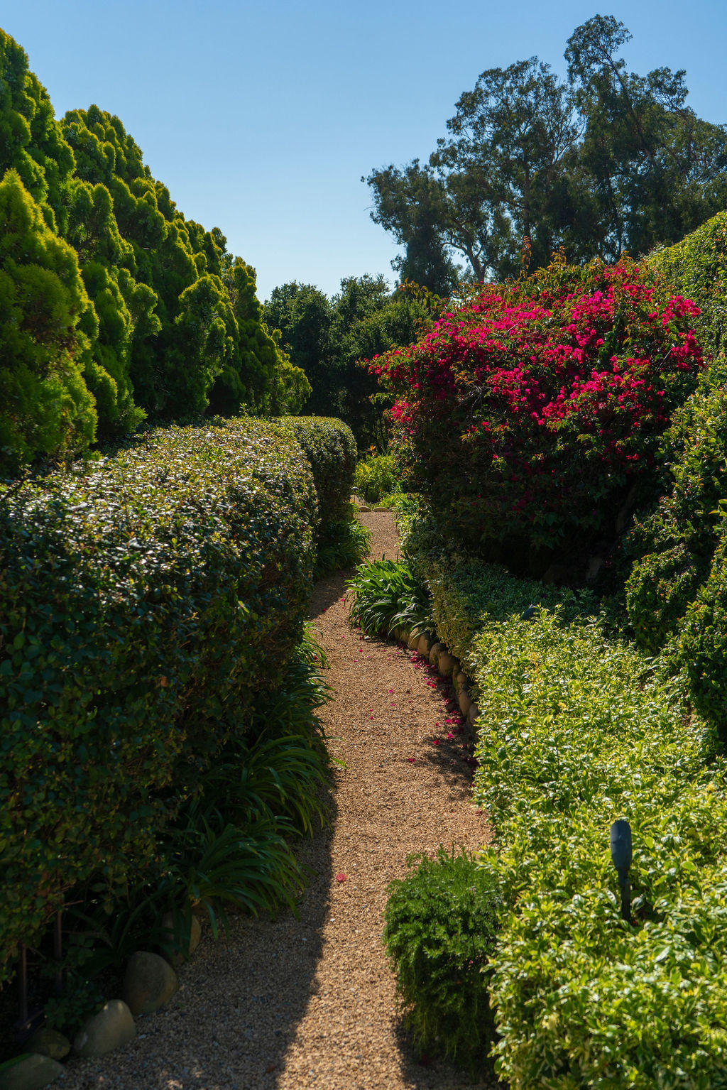 136 Middle Road Montecito, CA 93108 - Photo 25 of 35 Garden Walk
