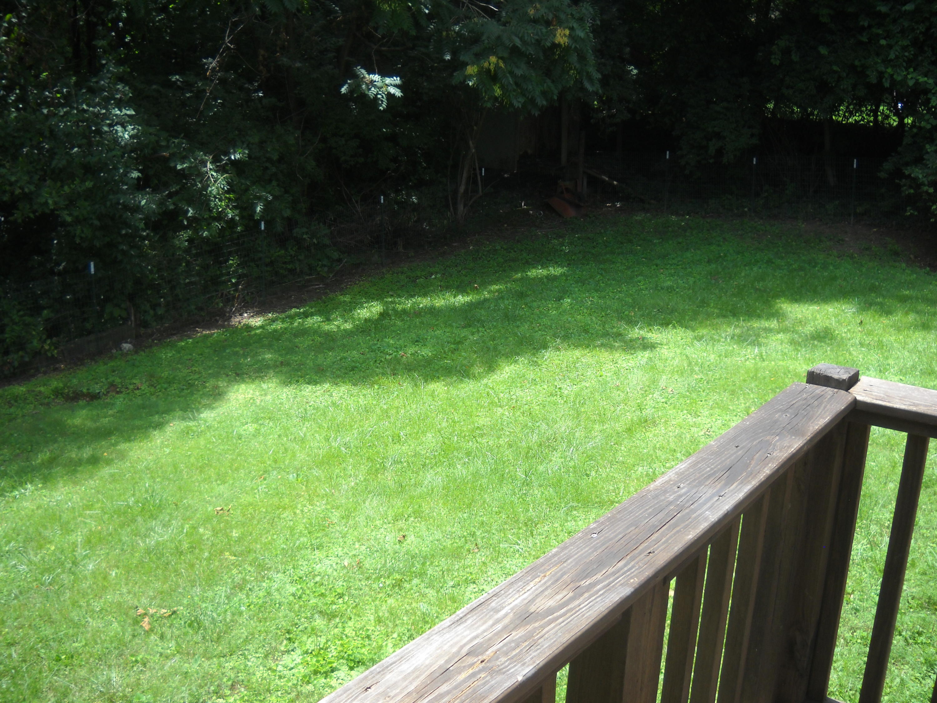 6019 Oak Road Knoxville, TN 37912 - Photo 9 of 14 DSCN2731