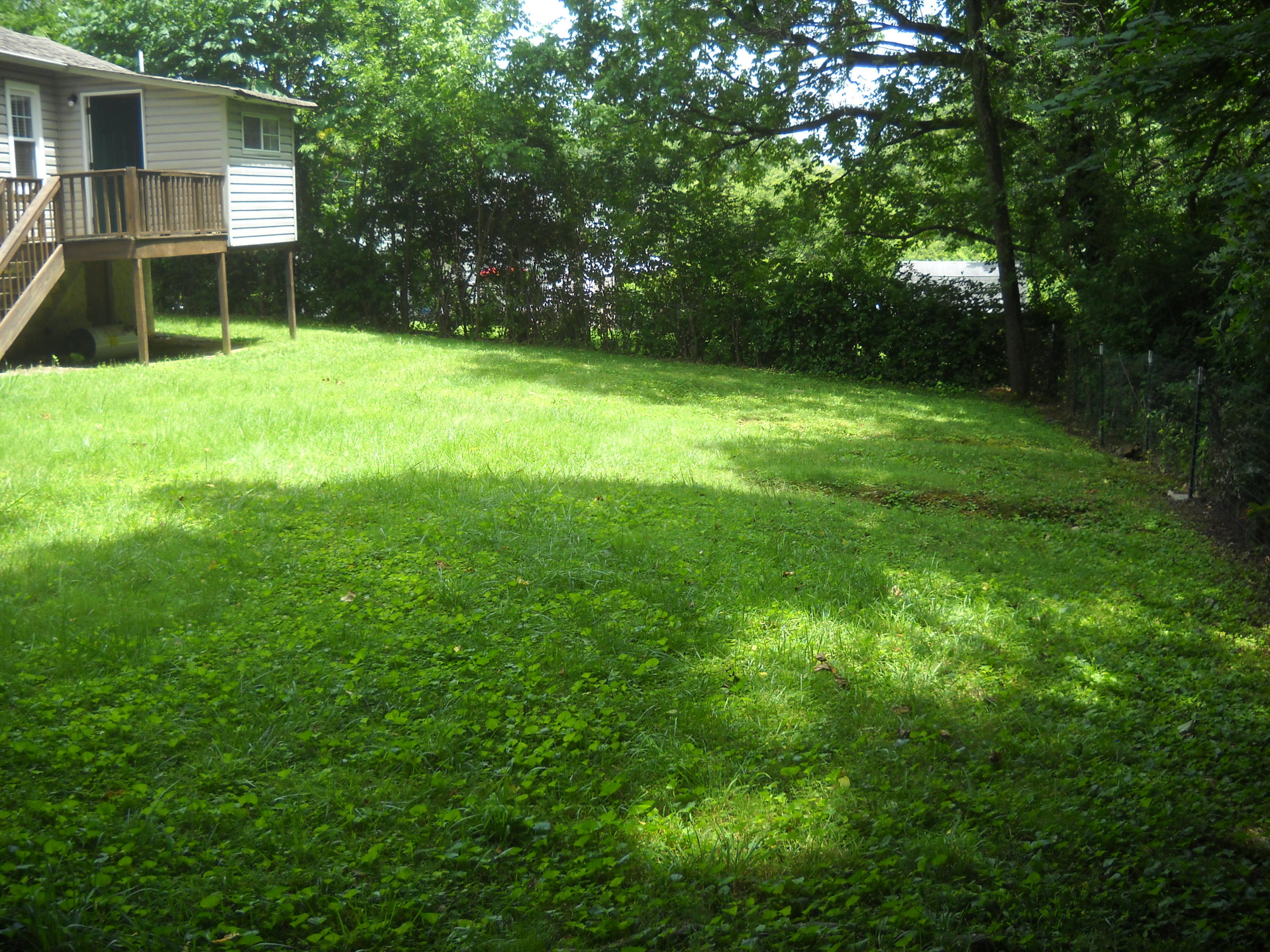 6019 Oak Road Knoxville, TN 37912 - Photo 10 of 14 DSCN2732