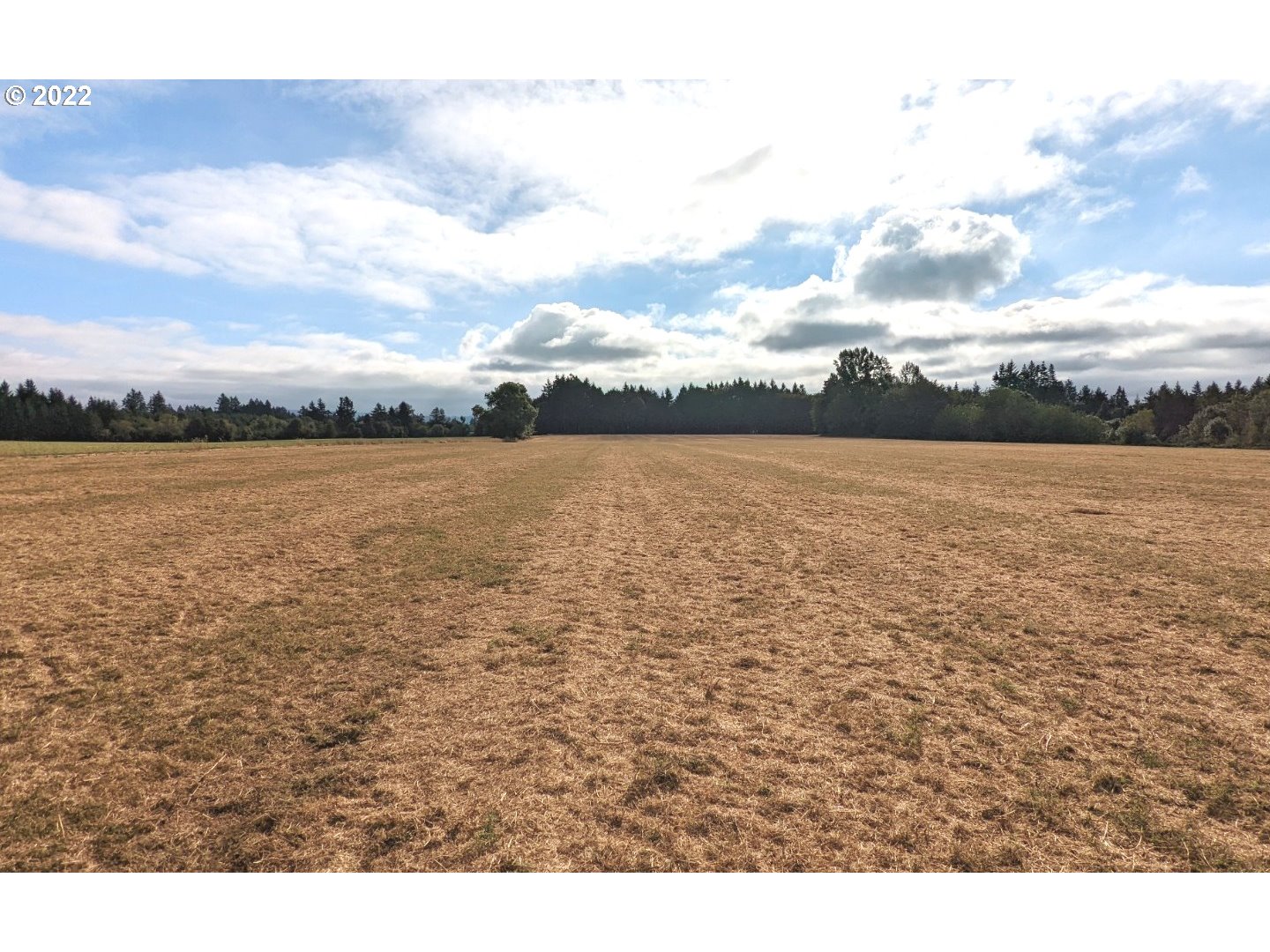 a view of an ocean beach