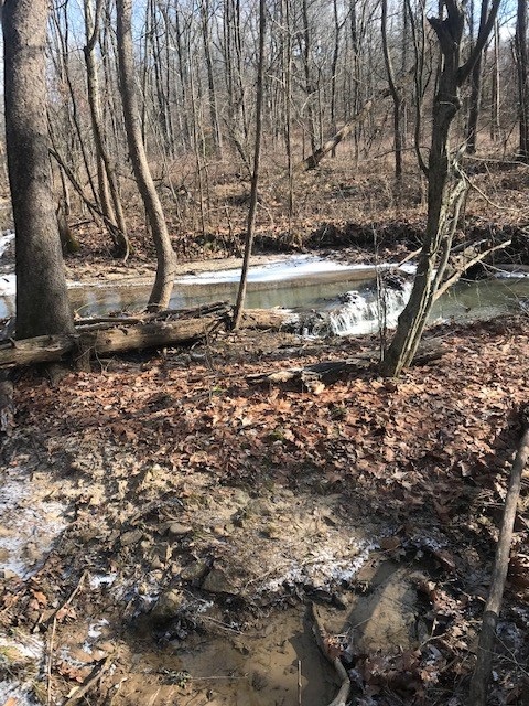 12498 Denmark Road Coal City, IN 47427 - Photo 1 of 7