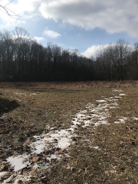 12498 Denmark Road Coal City, IN 47427 - Photo 4 of 7