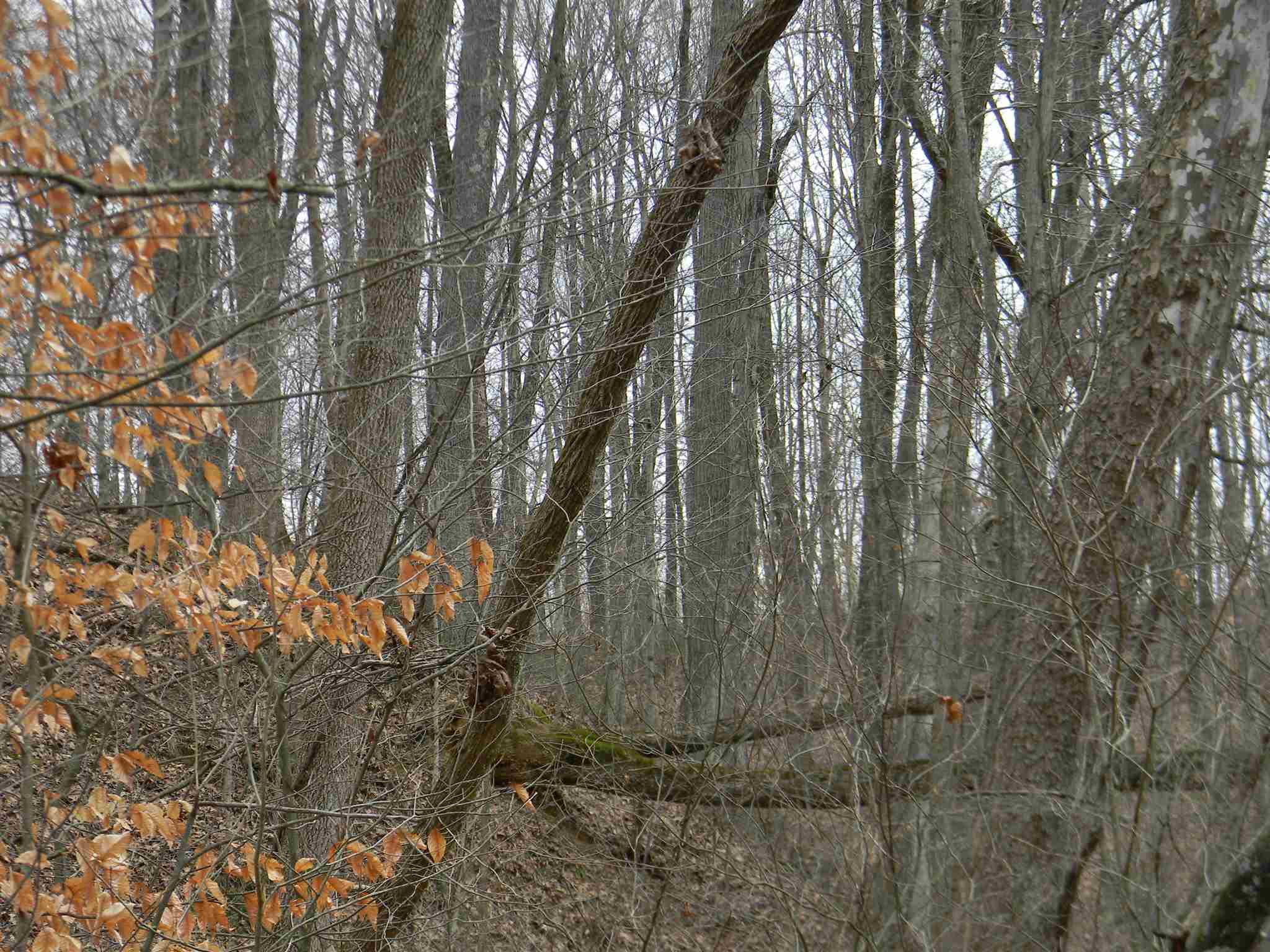 12498 Denmark Road Coal City, IN 47427 - Photo 6 of 7
