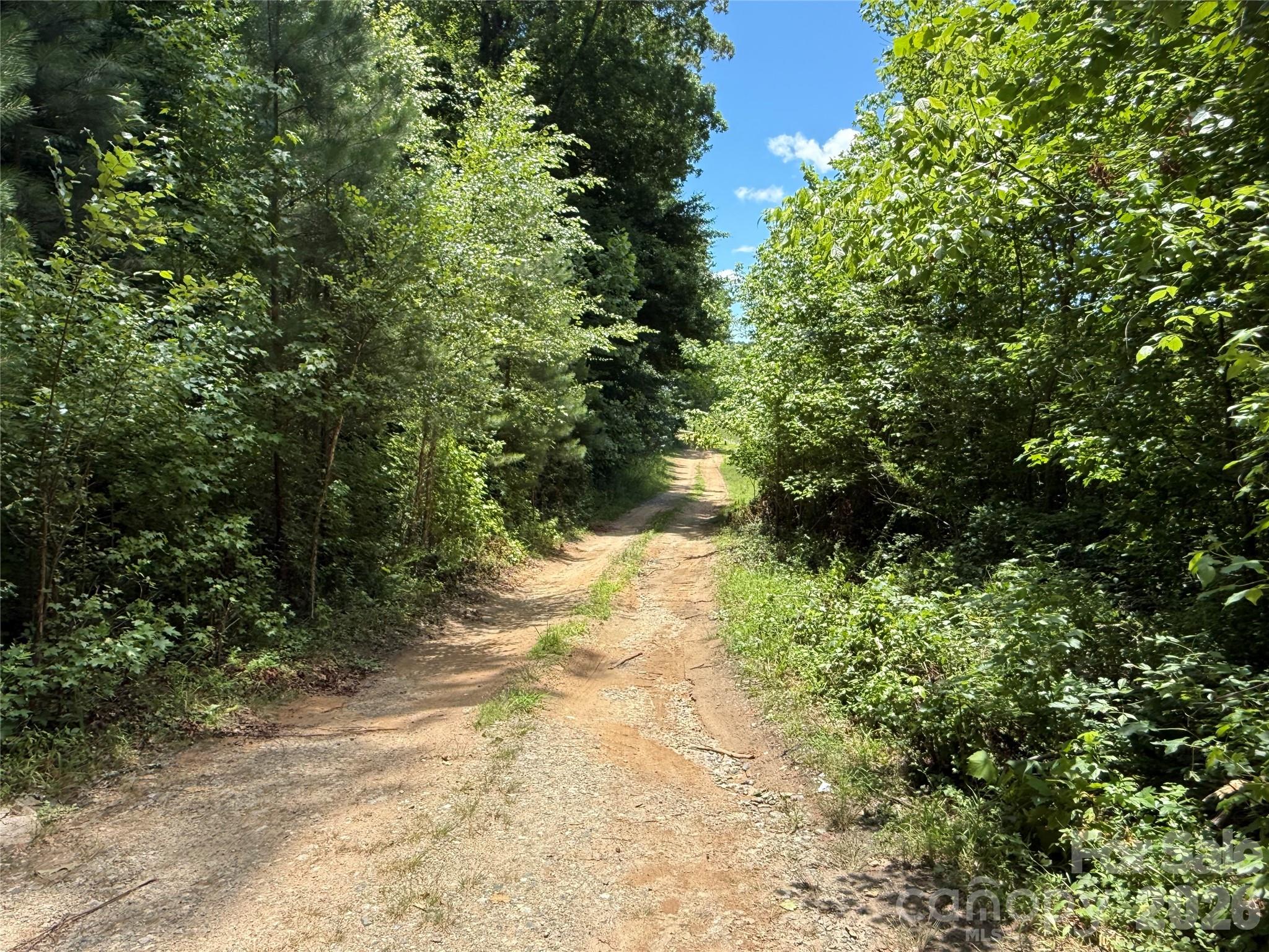99999 Tryon Road Rutherfordton, NC 28139 - Photo 7 of 25