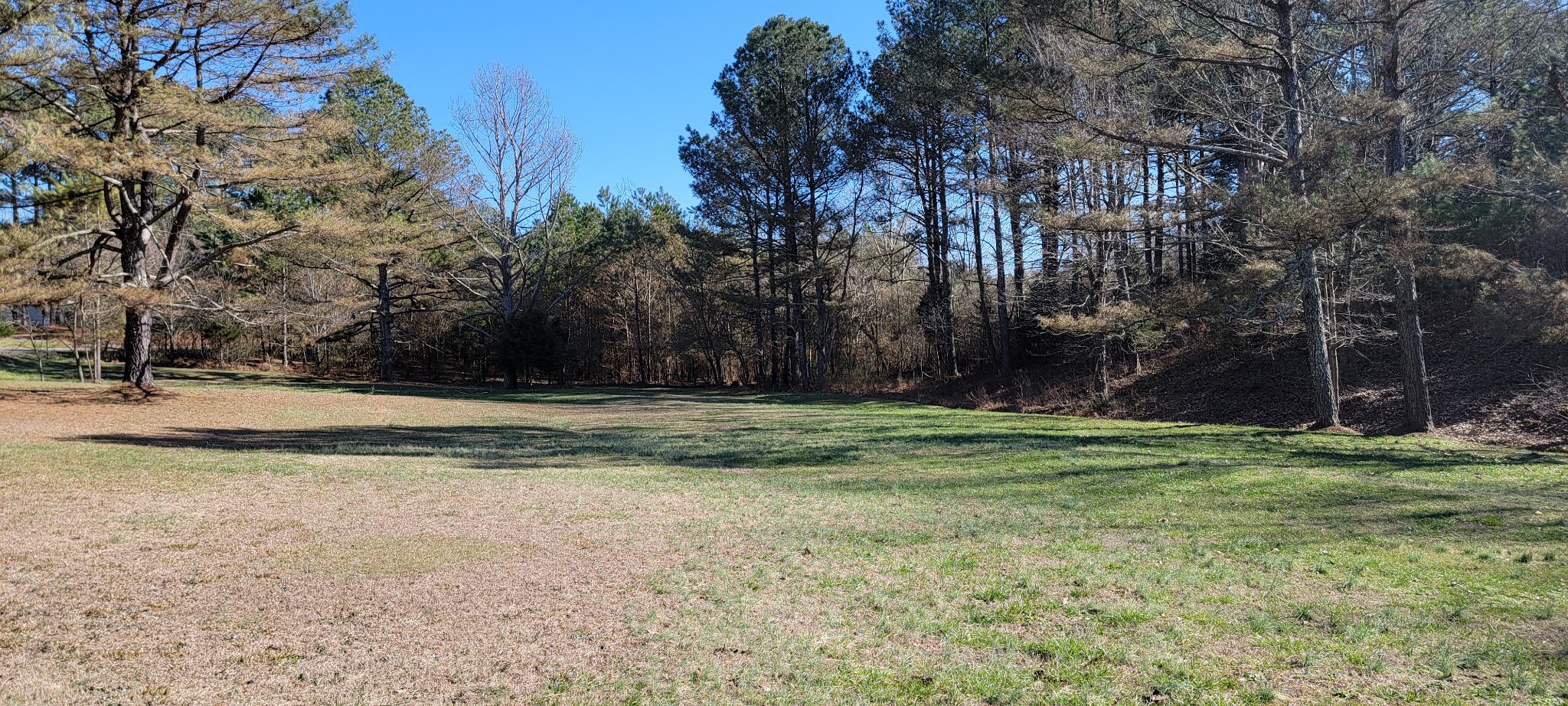 1113 Fall River Road Lawrenceburg, TN 38464 - Photo 6 of 8 a view of a yard