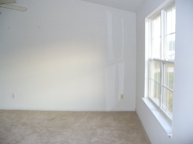 117 Melrose Road Greenville, SC 29605 - Photo 3 of 19 Gallery Image 3