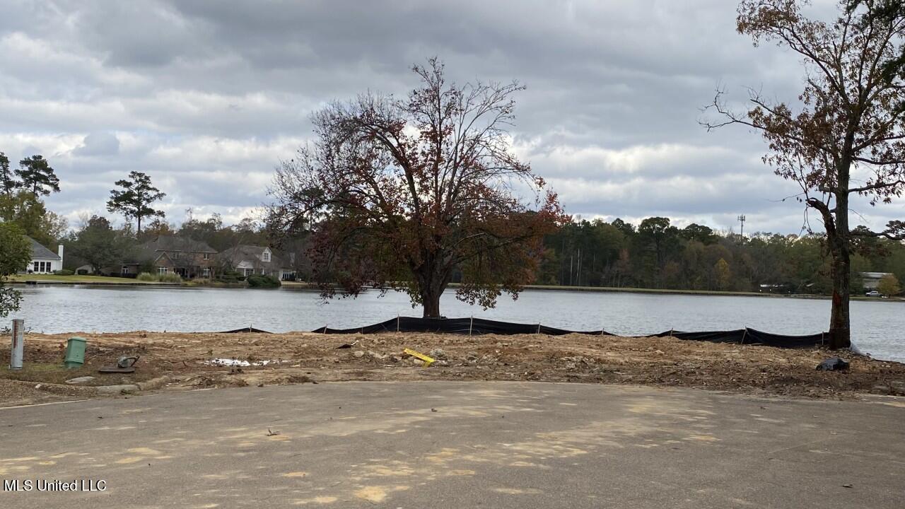 7 Spring Lake Point Pearl, MS 39208 - Photo 1 of 4 land (2)