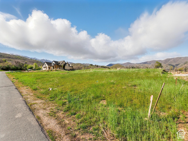 239 South Meadow Drive, Unit 10 Springville, UT 84663 - Photo 4 of 21