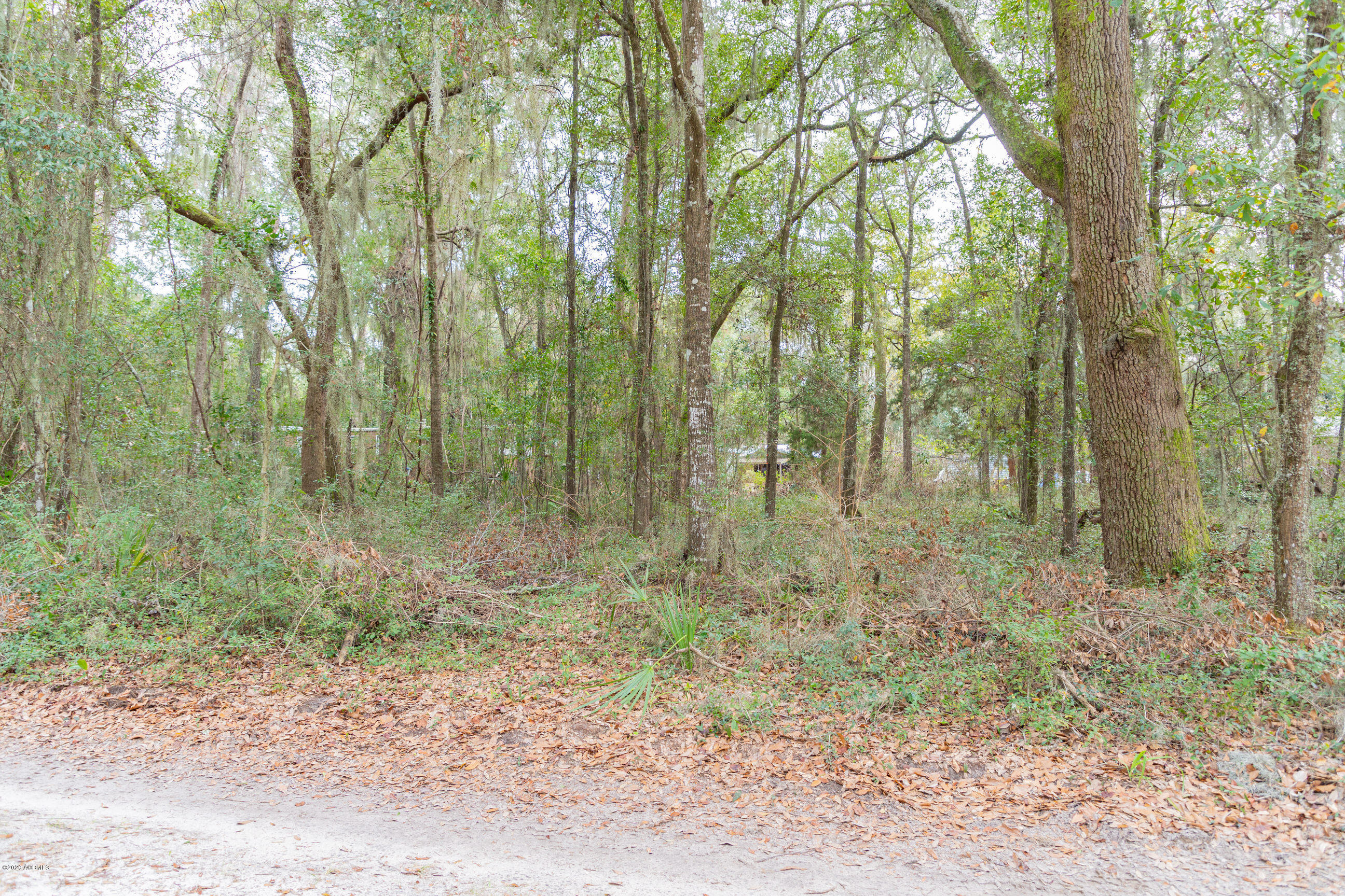 6 Hand Road St. Helena Island, SC 29920 - Photo 2 of 16 DSC06556