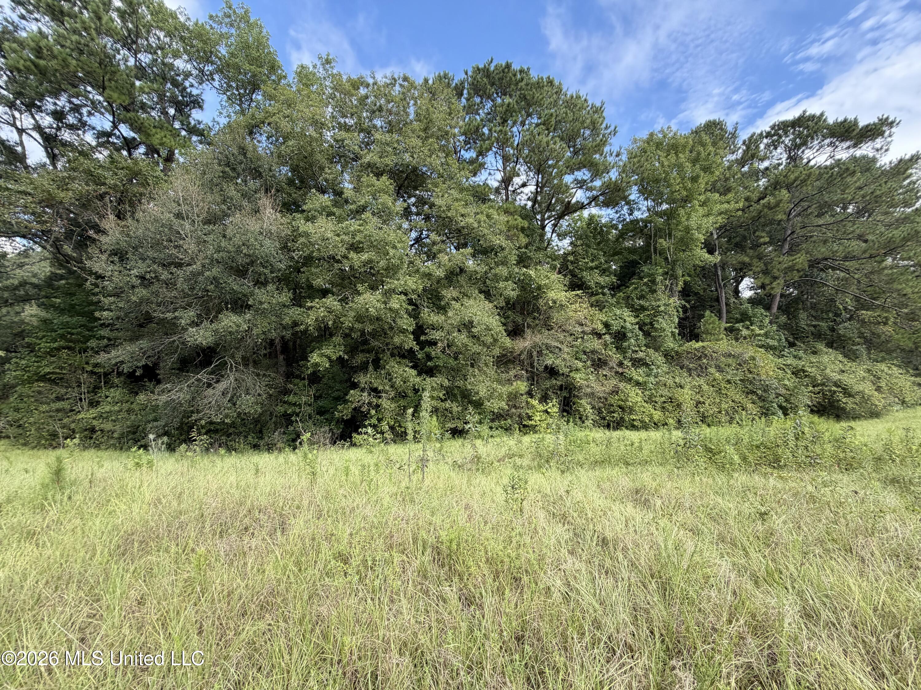 Rock Hill Sumrall, MS 39482 - Photo 6 of 19 IMG_6043