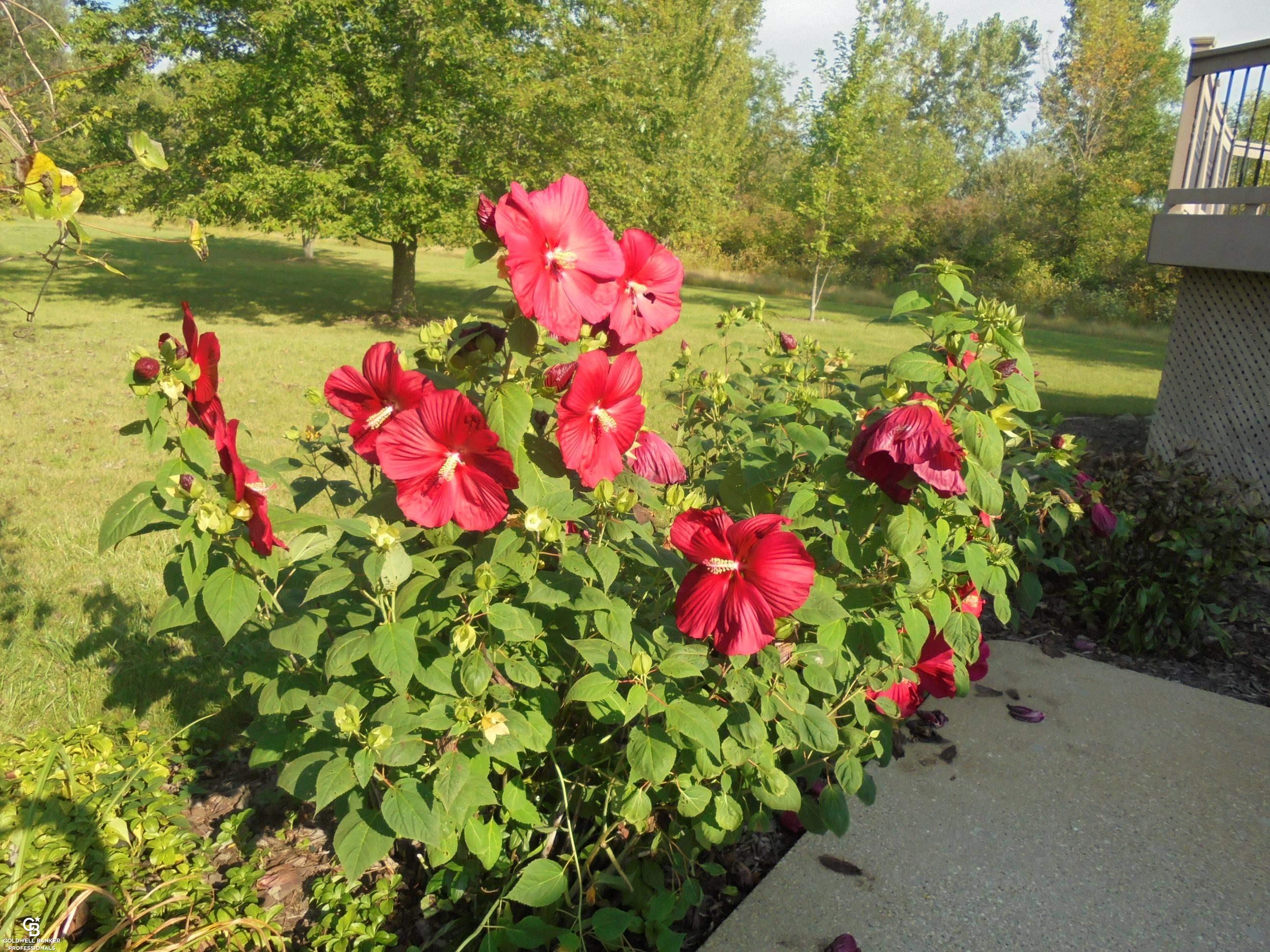 79223 Capac Road Armada, MI 48005 - Photo 11 of 58 Gallery Image 11