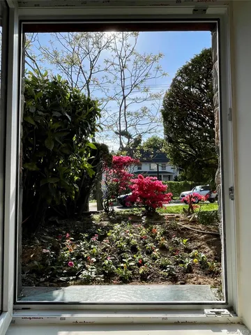 a view of a room with flower plants