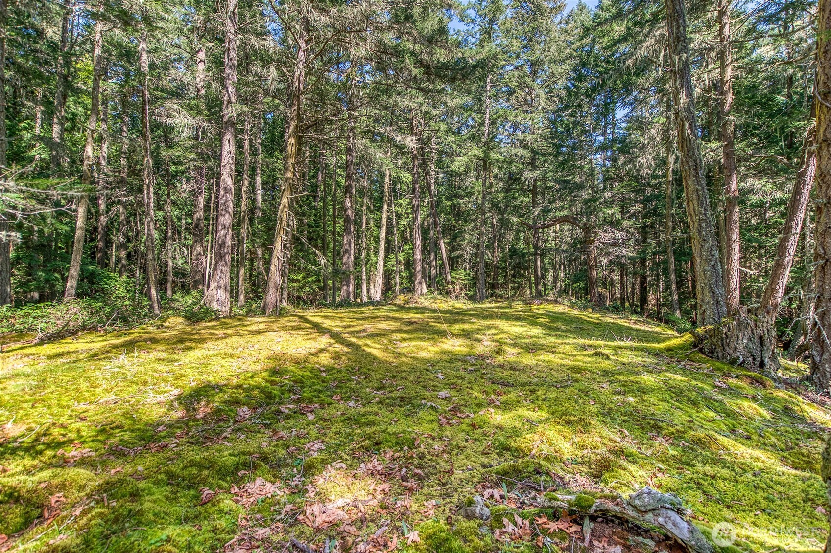 0 Tibbs Road Shaw Island, WA 98286 - Photo 24 of 36 Gallery Image 24