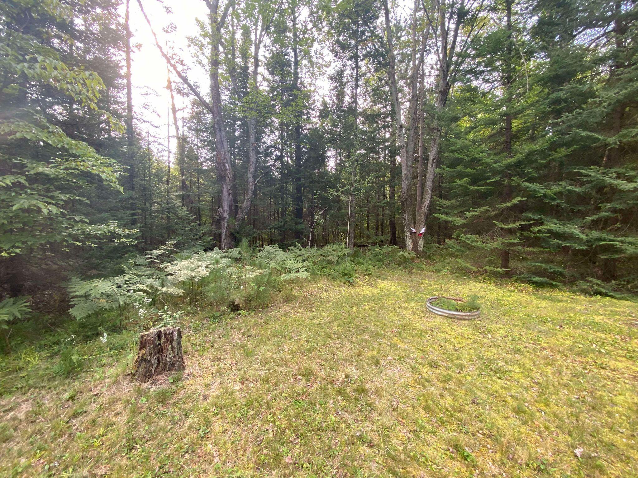 2085 Ryno Road Luzerne, MI 48636 - Photo 17 of 18 Gallery Image 17