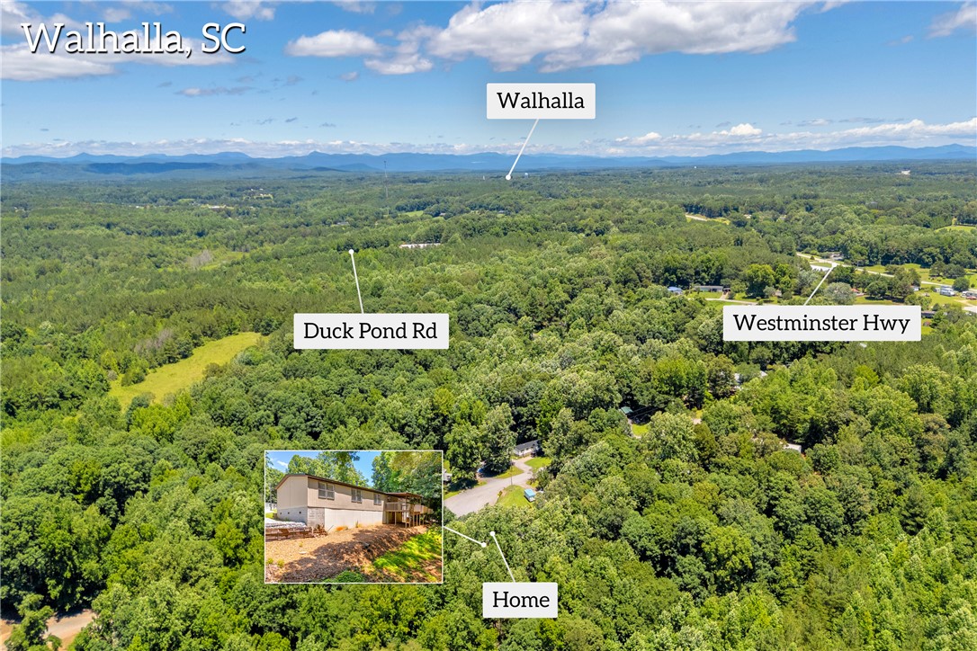 315 Ranger Road Walhalla, SC 29691 - Photo 48 of 50