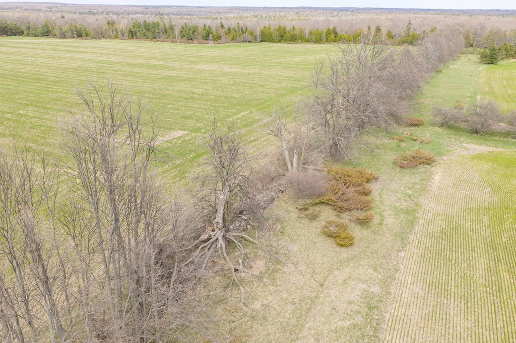 Tbd Highview Road Ellison Bay, WI 54210 - Photo 19 of 37