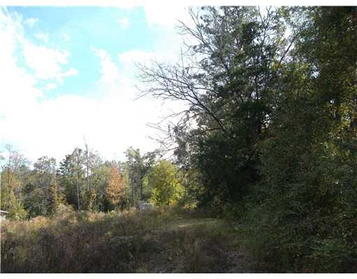 21006 Esterbrook Road Ponchatoula, LA 70454 - Photo 1 of 2 Gallery Image 1