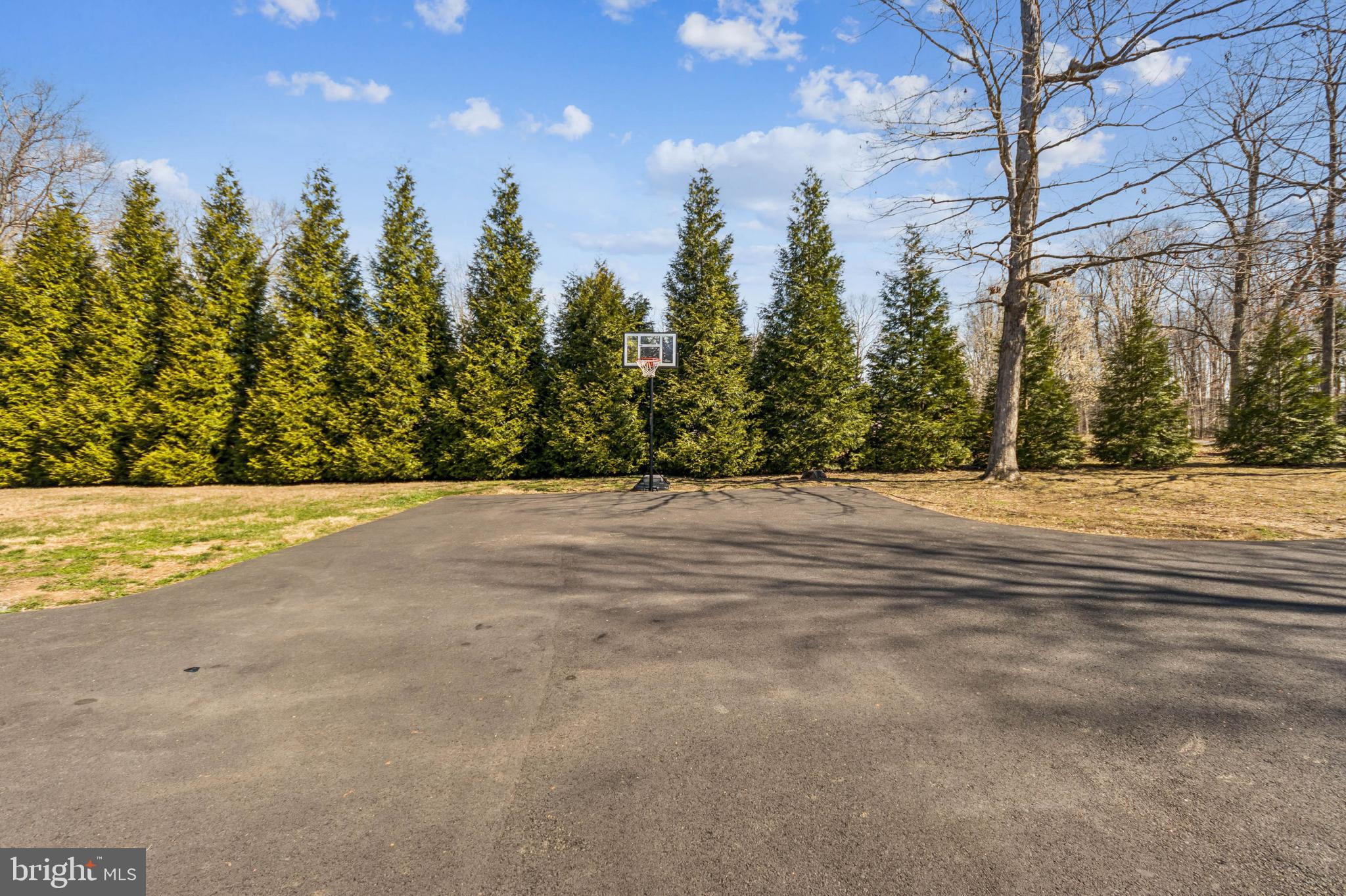 8174 Black Walnut Run Road Rhoadesville, VA 22542 - Photo 9 of 40