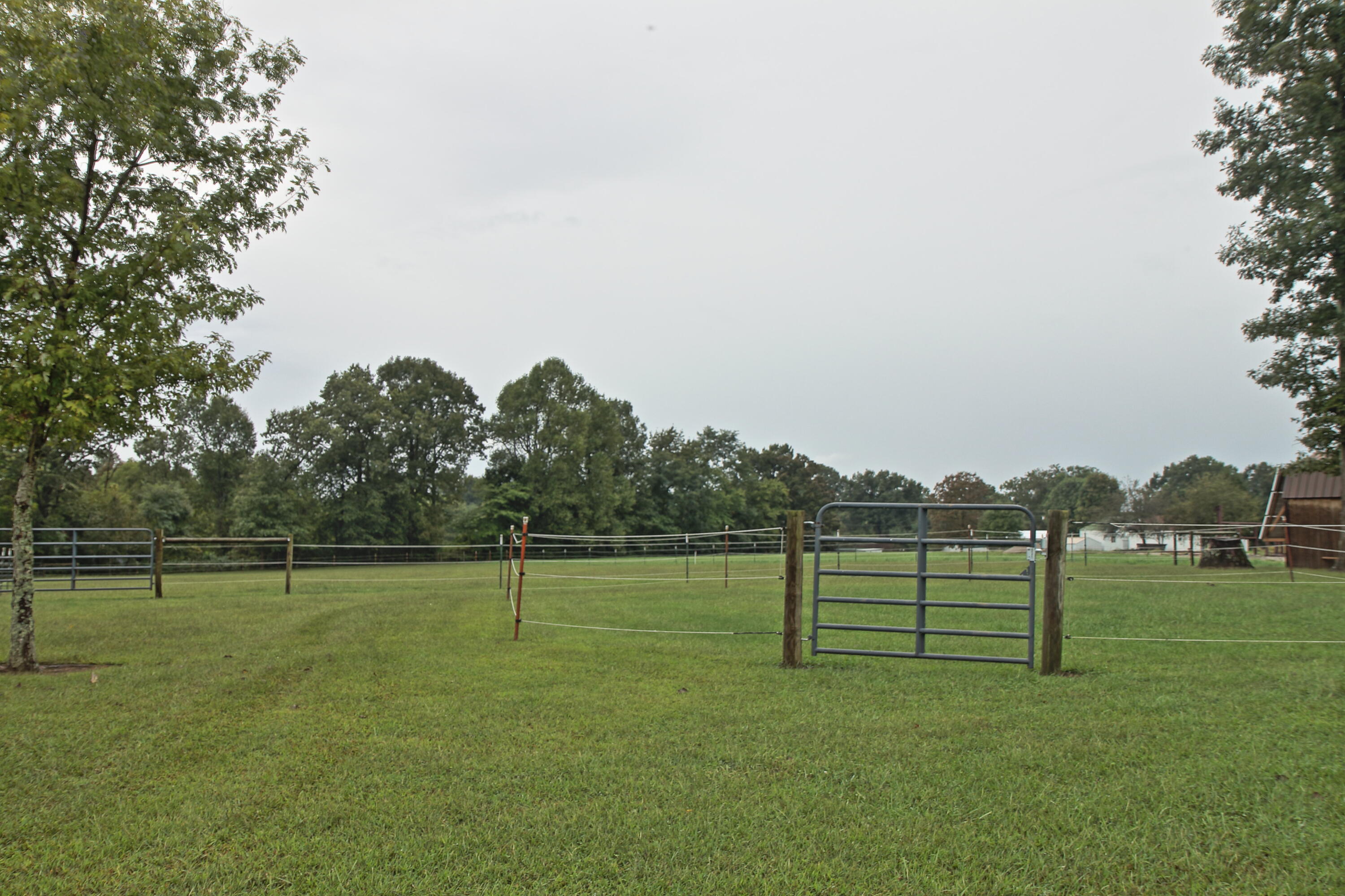 130 Atkinson Road Jamestown, TN 38556 - Photo 12 of 27 b35