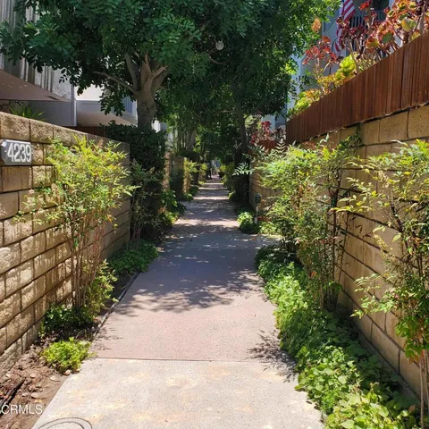 a view of path along with trees