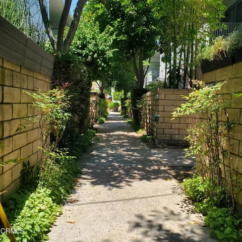 a view of a yard with plants and trees