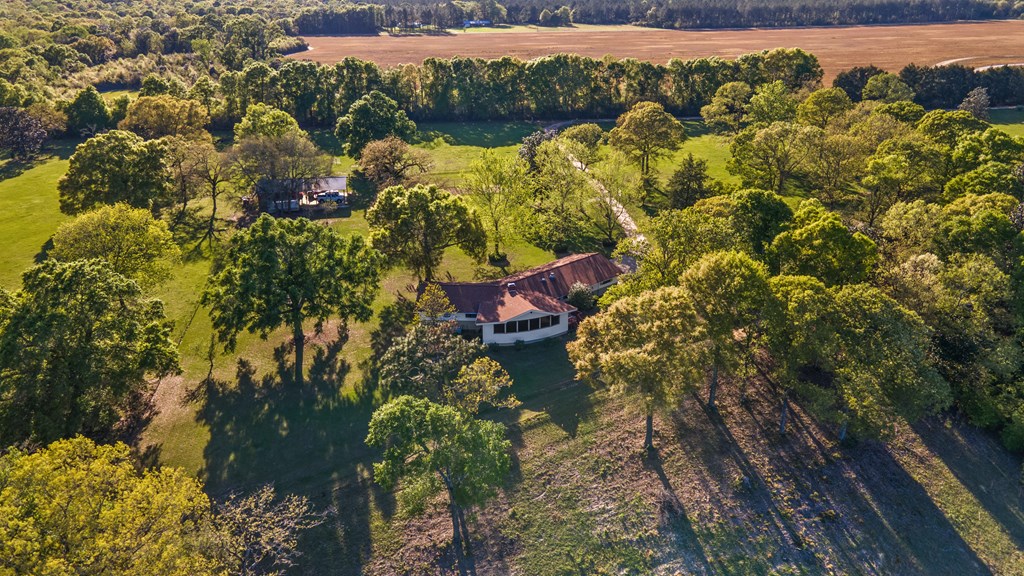 692 Pebble Road Kinston, AL 36453 - Photo 62 of 65