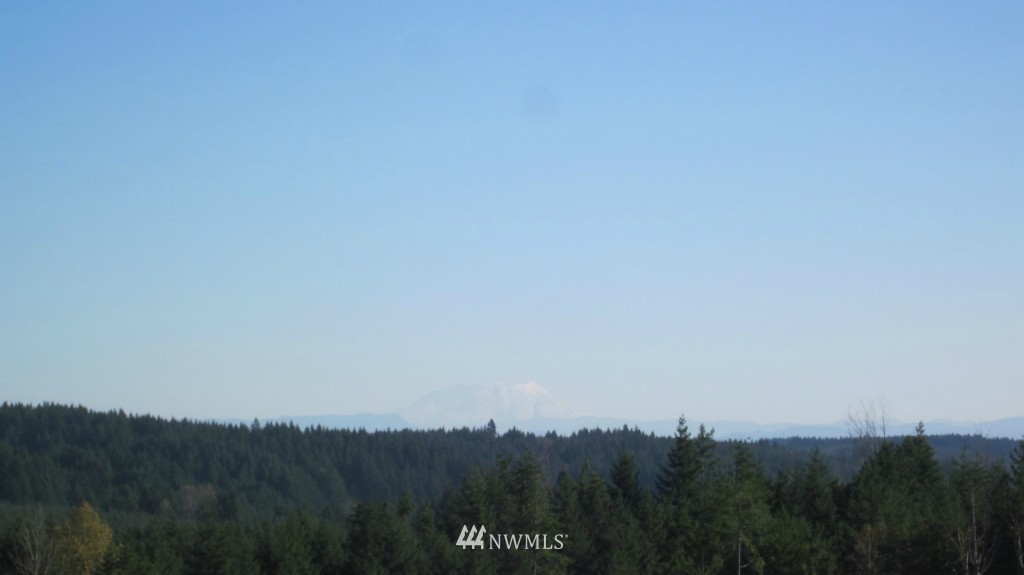 -lot 5 Pleasant Valley Road Adna, WA 98522 - Photo 2 of 23 Gallery Image 2