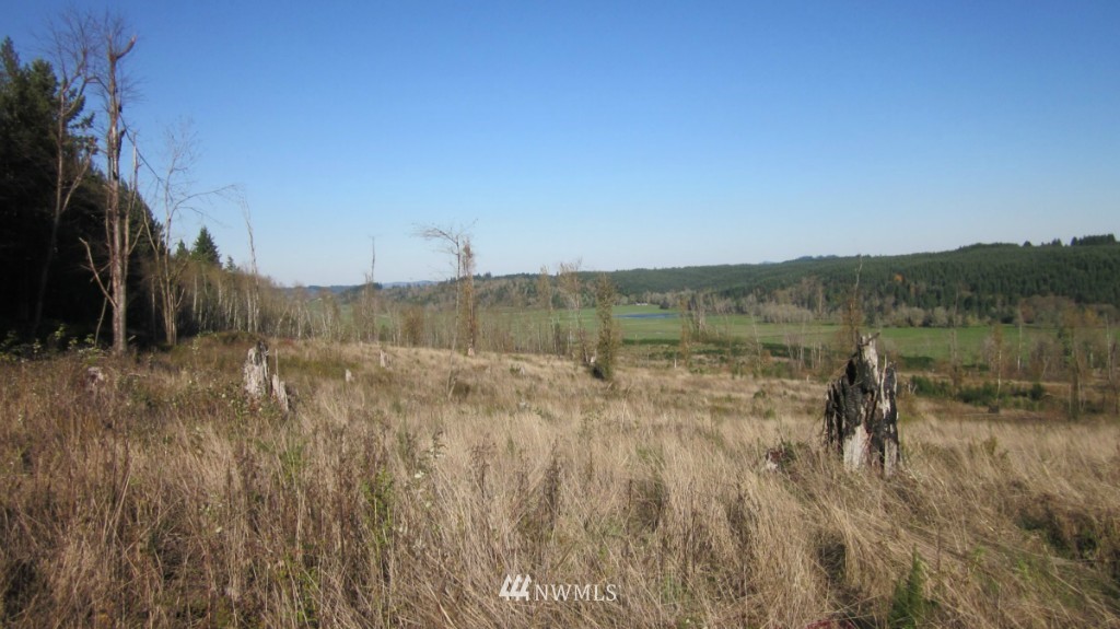 -lot 5 Pleasant Valley Road Adna, WA 98522 - Photo 11 of 23 Gallery Image 11