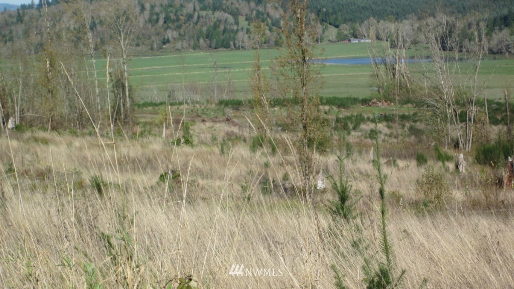 -lot 5 Pleasant Valley Road Adna, WA 98522 - Photo 12 of 23 Gallery Image 12