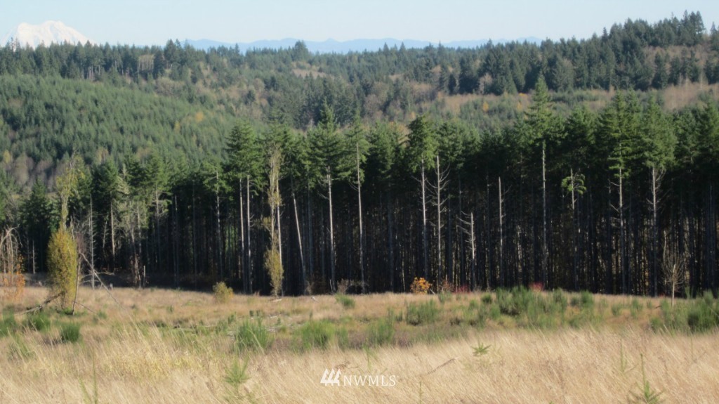 -lot 5 Pleasant Valley Road Adna, WA 98522 - Photo 13 of 23 Gallery Image 13