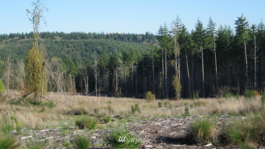 -lot 5 Pleasant Valley Road Adna, WA 98522 - Photo 16 of 23 Gallery Image 16