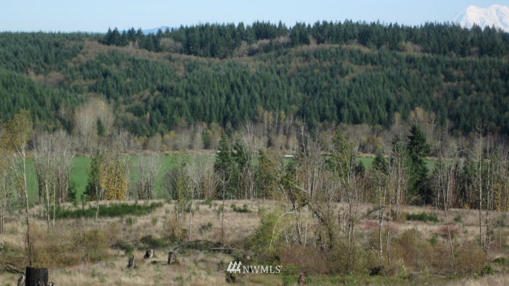 -lot 5 Pleasant Valley Road Adna, WA 98522 - Photo 17 of 23 Gallery Image 17