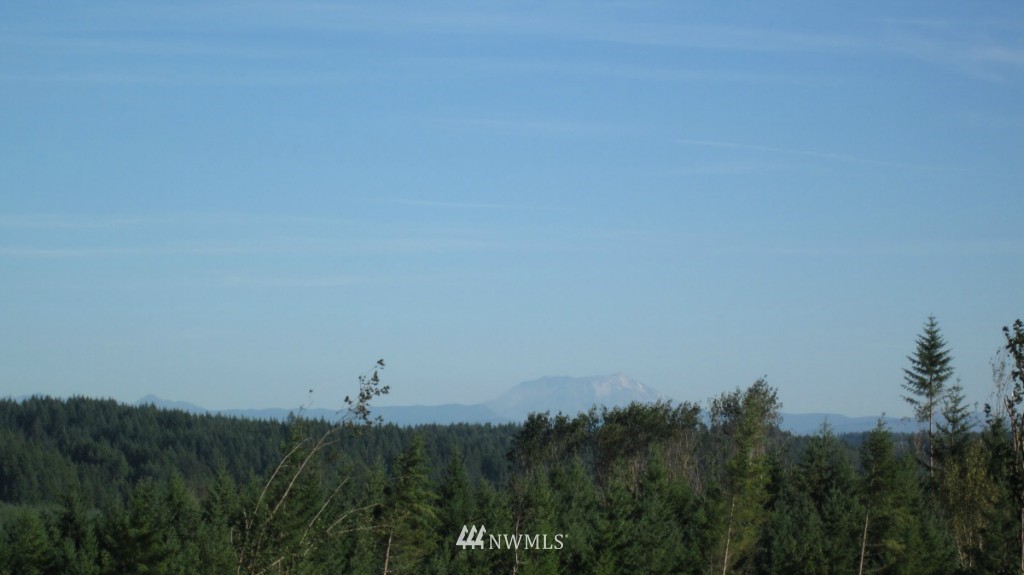 -lot 5 Pleasant Valley Road Adna, WA 98522 - Photo 18 of 23 Gallery Image 18