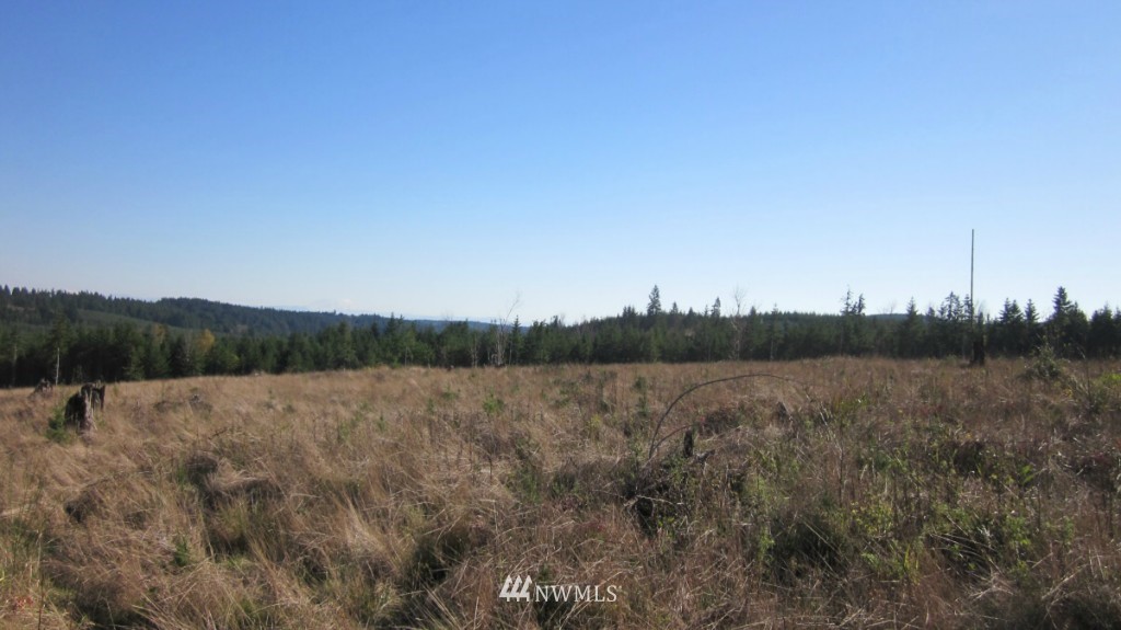 -lot 5 Pleasant Valley Road Adna, WA 98522 - Photo 3 of 23 Gallery Image 3
