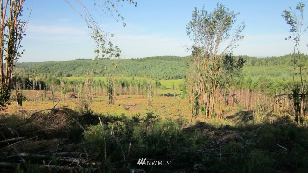 -lot 5 Pleasant Valley Road Adna, WA 98522 - Photo 22 of 23 Gallery Image 22