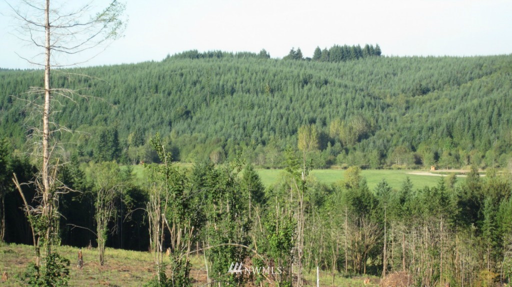 -lot 5 Pleasant Valley Road Adna, WA 98522 - Photo 23 of 23 Gallery Image 23