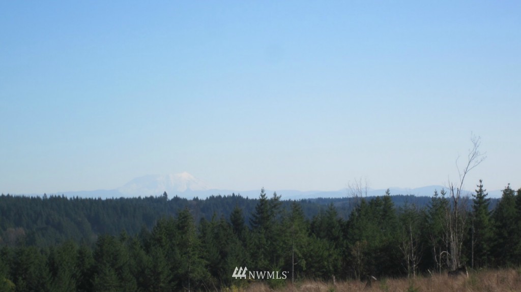 -lot 5 Pleasant Valley Road Adna, WA 98522 - Photo 5 of 23 Gallery Image 5