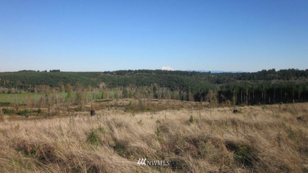 -lot 5 Pleasant Valley Road Adna, WA 98522 - Photo 6 of 23 Gallery Image 6