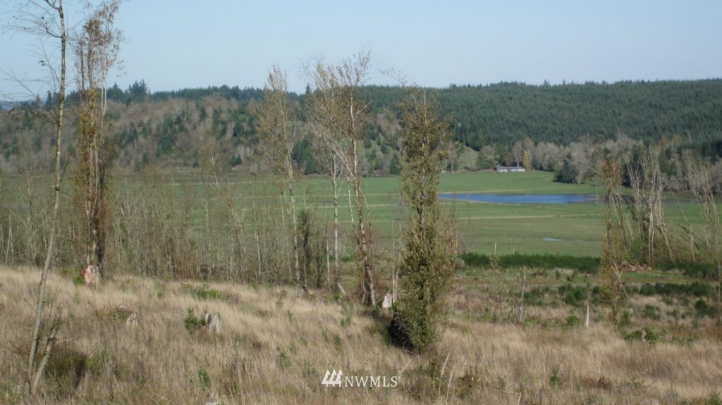 -lot 5 Pleasant Valley Road Adna, WA 98522 - Photo 8 of 23 Gallery Image 8