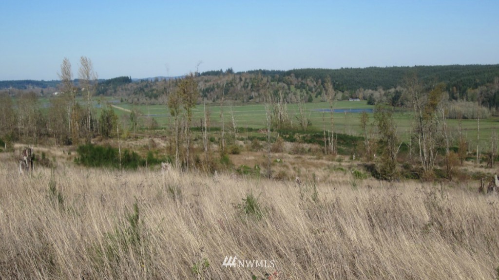 -lot 5 Pleasant Valley Road Adna, WA 98522 - Photo 9 of 23 Gallery Image 9