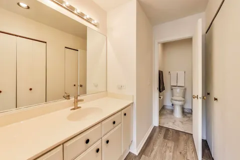 a bathroom with a sink a toilet and a large mirror