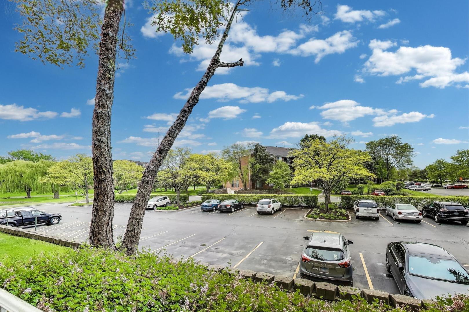 805 Leicester Road, Unit B105 Elk Grove Village, IL 60007 - Photo 22 of 37 a view of a city