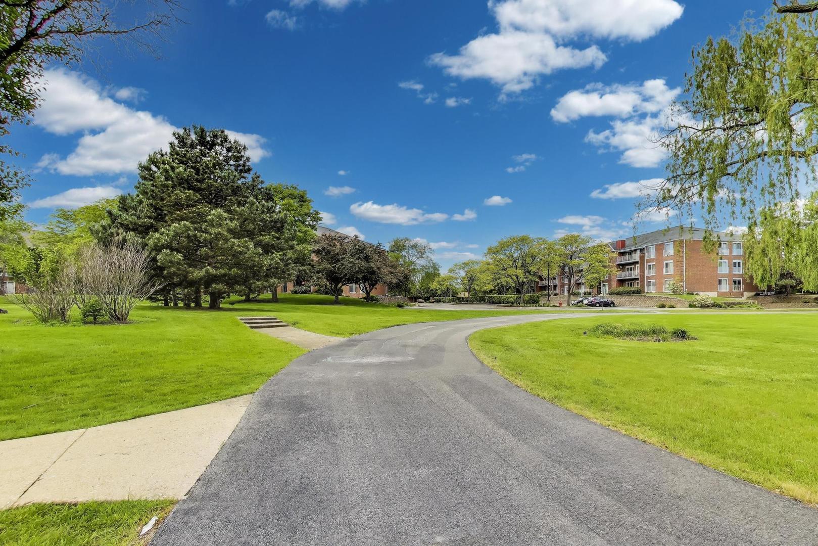 805 Leicester Road, Unit B105 Elk Grove Village, IL 60007 - Photo 25 of 37 a view of a golf course with a fountain