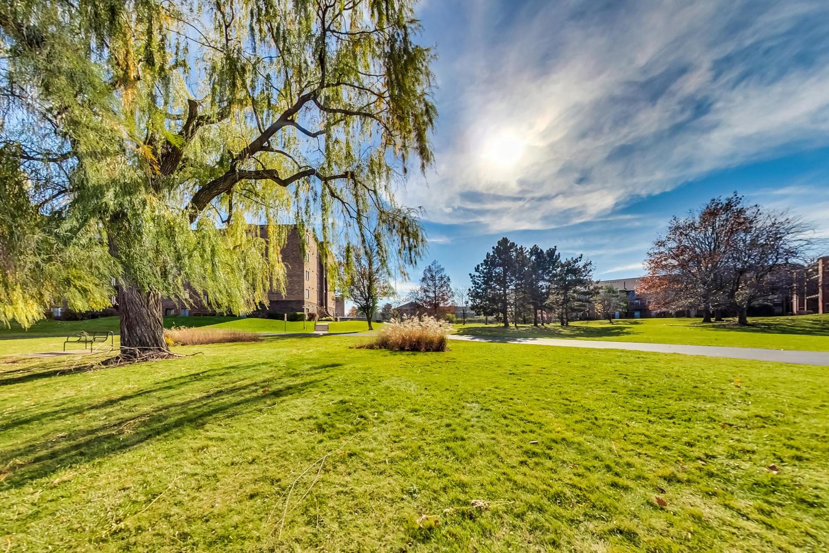 805 Leicester Road, Unit B105 Elk Grove Village, IL 60007 - Photo 27 of 37 a view of an ocean with a big yard