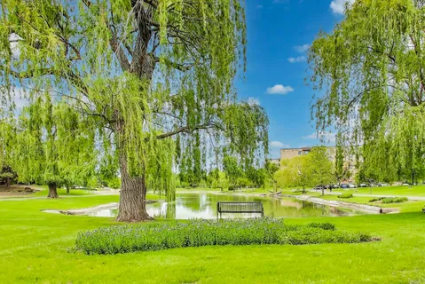 a view of a swimming pool with a yard