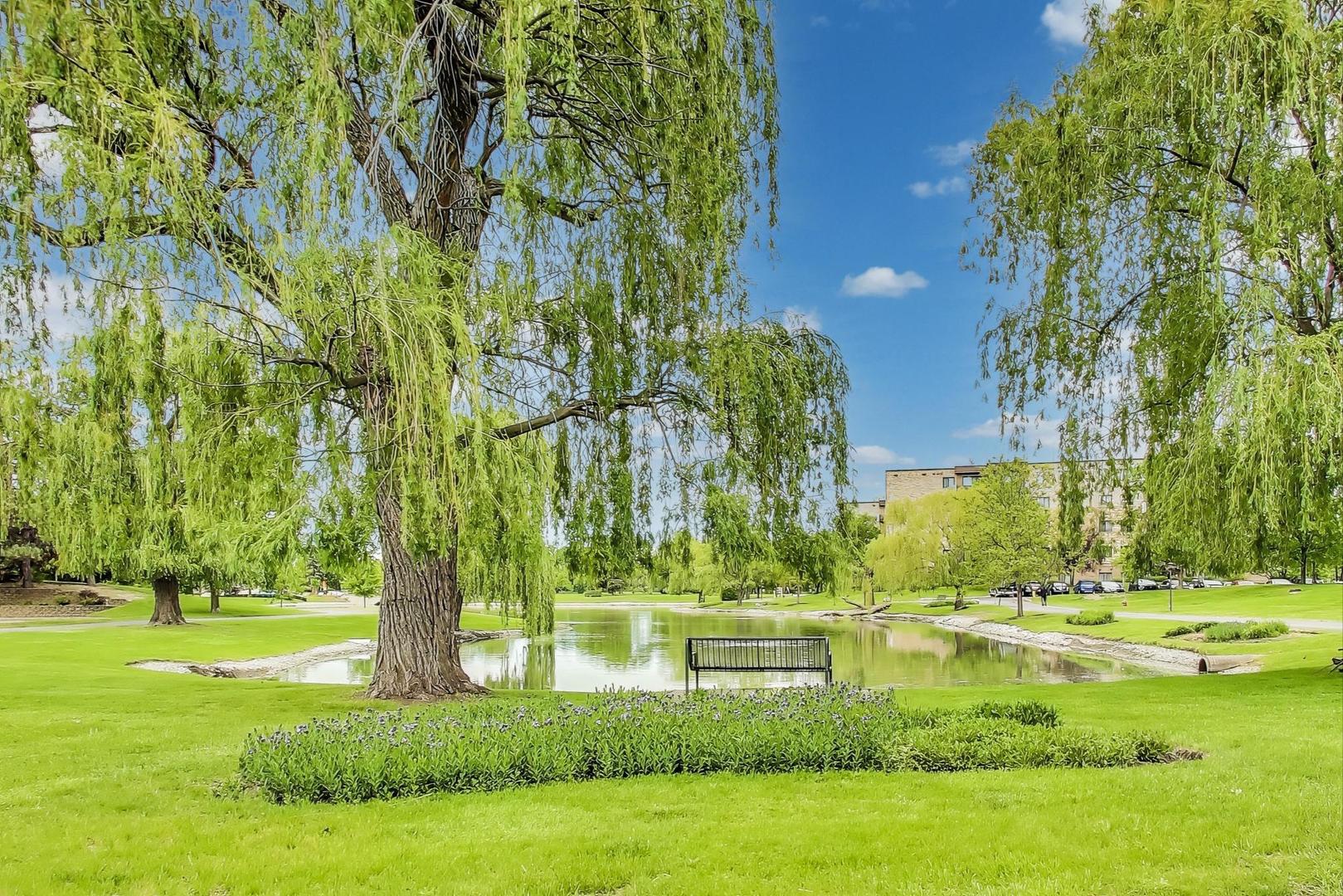 805 Leicester Road, Unit B105 Elk Grove Village, IL 60007 - Photo 30 of 37 a view of lake view