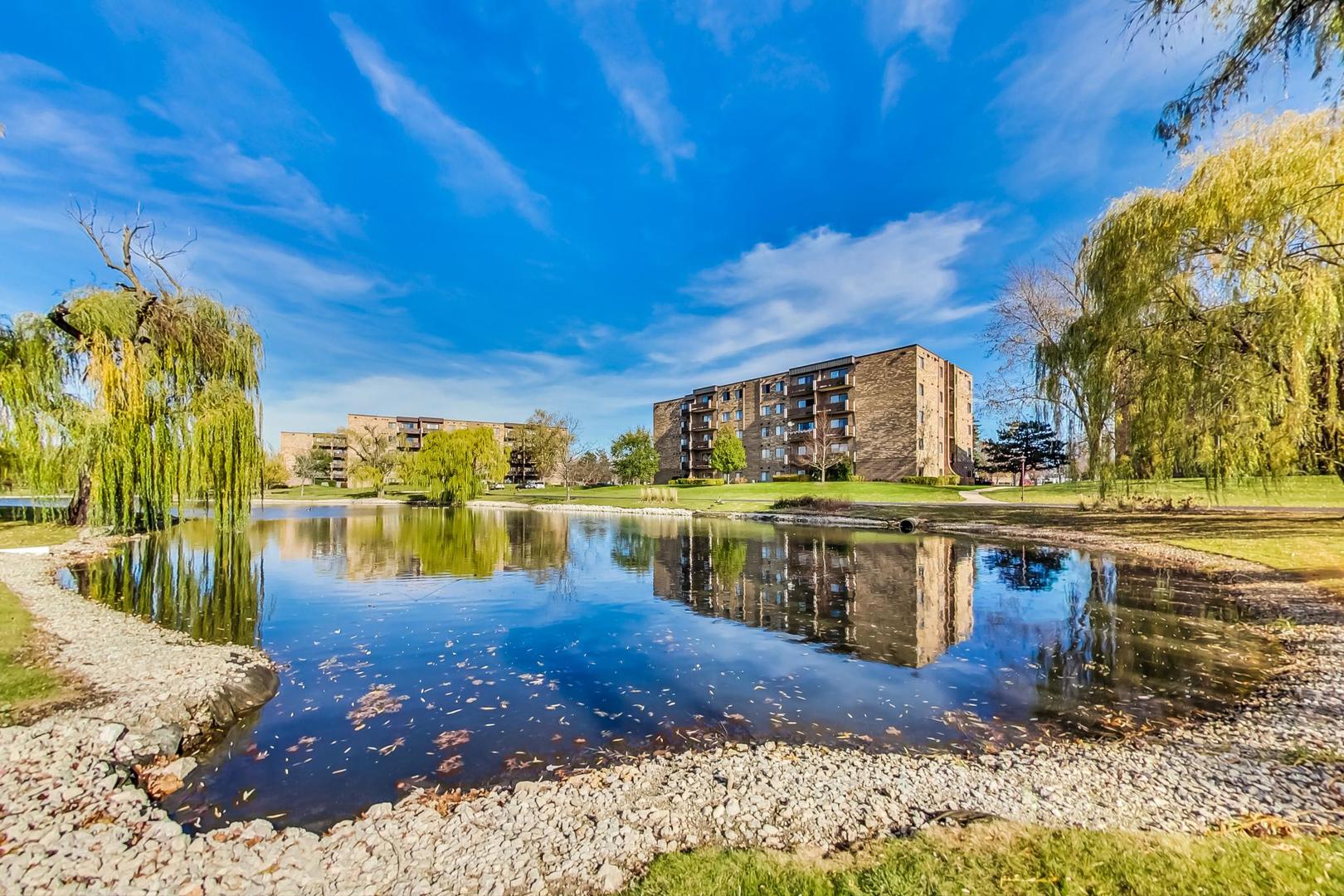 805 Leicester Road, Unit B105 Elk Grove Village, IL 60007 - Photo 31 of 37 a view of a water pond