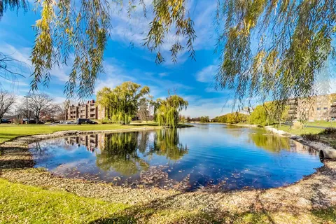 a view of a park with large trees