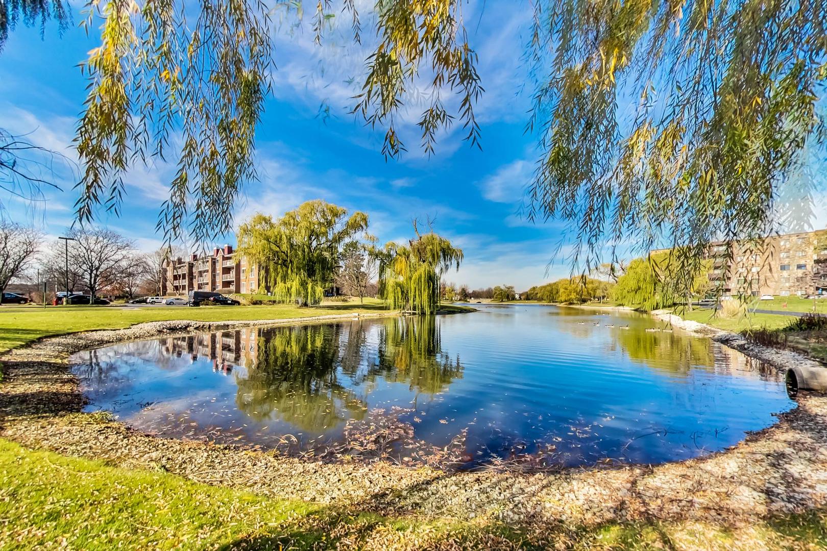 805 Leicester Road, Unit B105 Elk Grove Village, IL 60007 - Photo 32 of 37 a view of a swimming pool with a yard